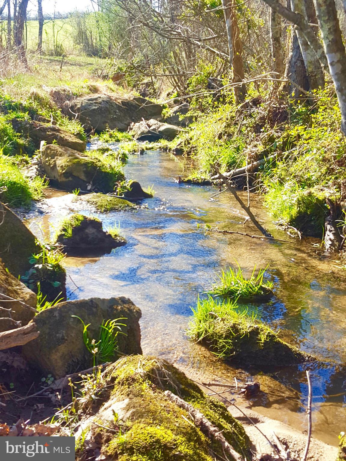 10383 Cliff Mills Road Marshall, VA 20115 - Photo 29 of 30 Lovely Thumb Run creek crosses property