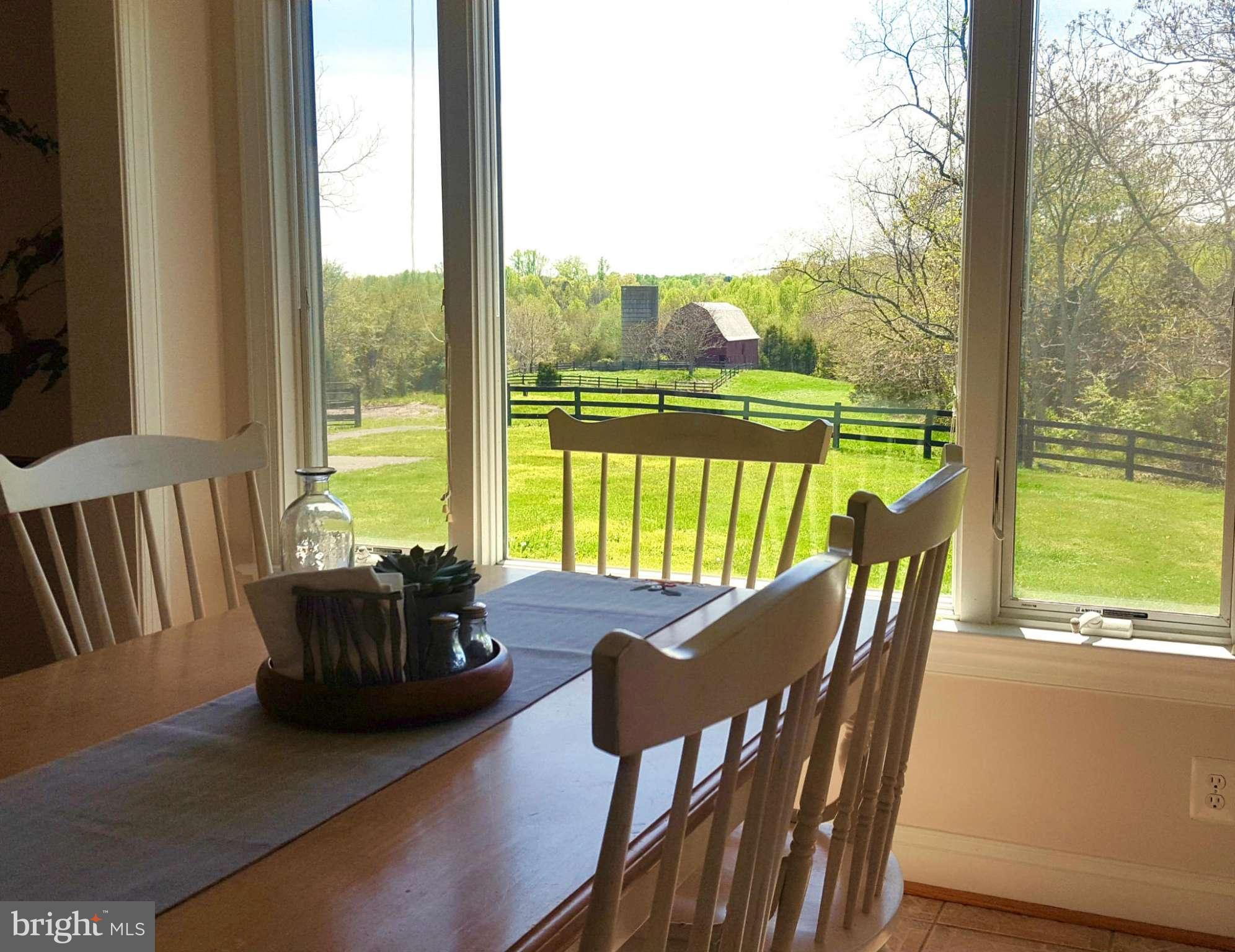 10383 Cliff Mills Road Marshall, VA 20115 - Photo 10 of 30 View of barn from breakfast nook