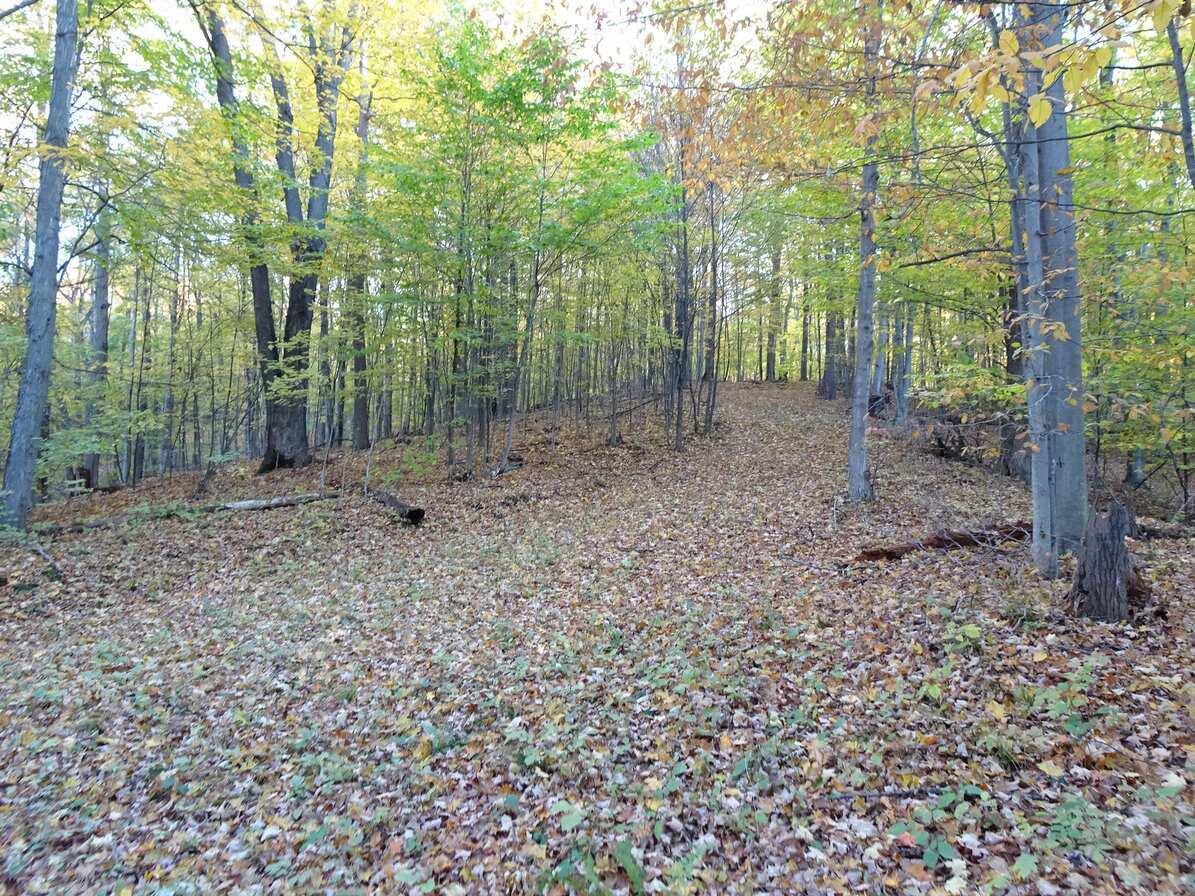 17937 Gilbert Road Arcadia, MI 49613 - Photo 20 of 28 e3516274-aaab-4f87-8101-cde04a061703