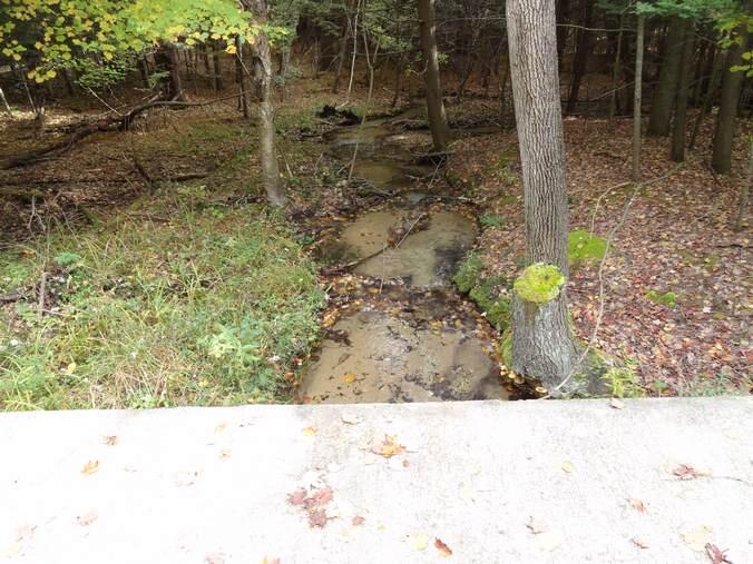 17937 Gilbert Road Arcadia, MI 49613 - Photo 9 of 28 11-13-2015-11-50-20-AM