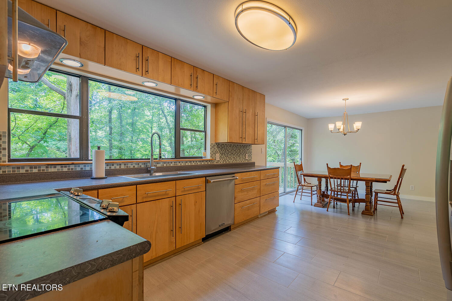 909 West Outer Drive Oak Ridge, TN 37830 - Photo 6 of 34 A7300046-HDR
