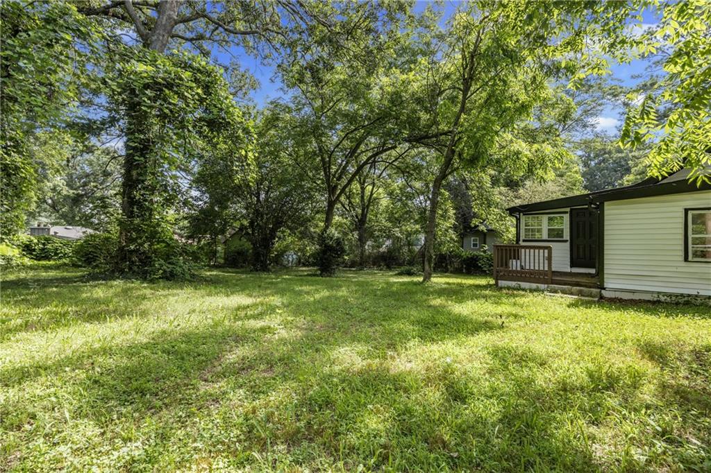 1339 Lyle Avenue Atlanta, GA 30344 - Photo 20 of 21 a fire hydrant in the middle of a field