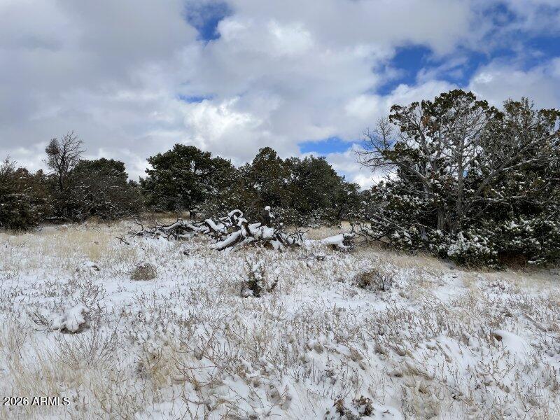13537 Bly Station Road, Unit 414 Williams, AZ 86046 - Photo 13 of 56 a view of a dry field with trees in the background