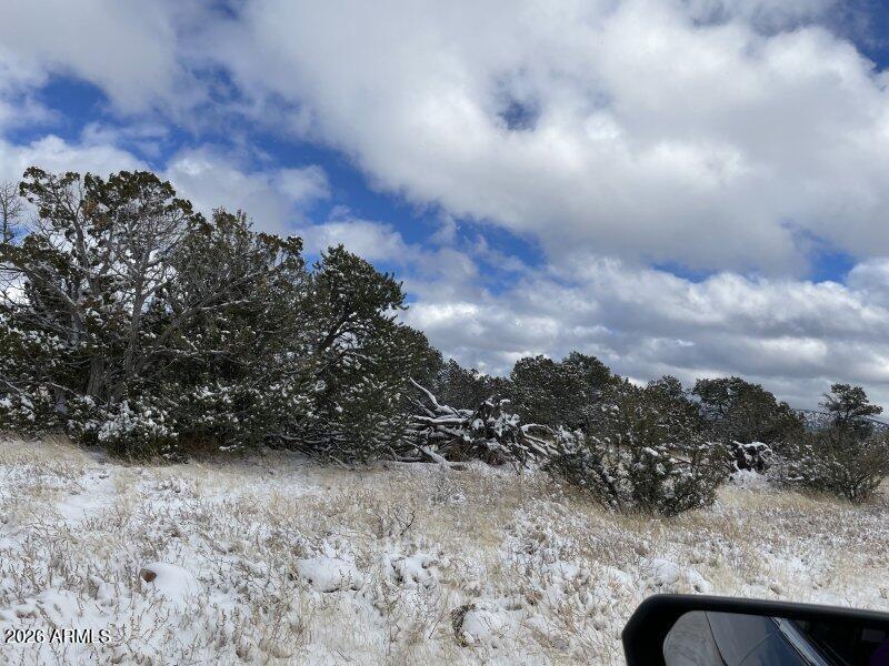 13537 Bly Station Road, Unit 414 Williams, AZ 86046 - Photo 15 of 56 Auction_012