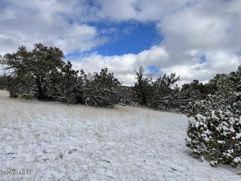 13537 Bly Station Road, Unit 414 Williams, AZ 86046 - Photo 18 of 56 Auction_015