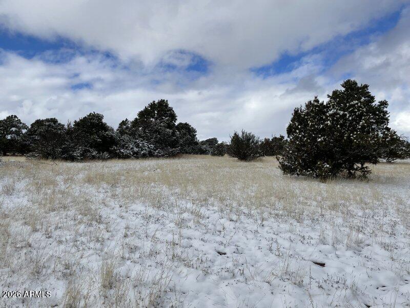 13537 Bly Station Road, Unit 414 Williams, AZ 86046 - Photo 20 of 56 a view of a yard