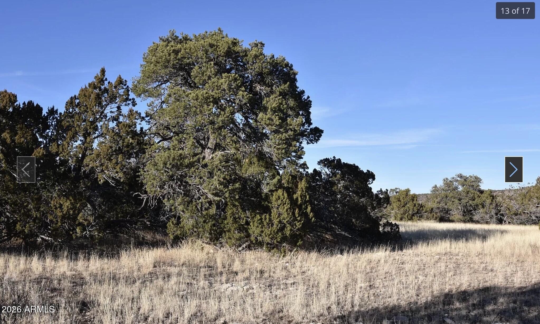 13537 Bly Station Road, Unit 414 Williams, AZ 86046 - Photo 2 of 56 a view of a lake