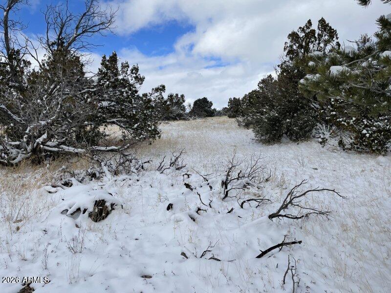 13537 Bly Station Road, Unit 414 Williams, AZ 86046 - Photo 23 of 56 a view of a lake with a tree