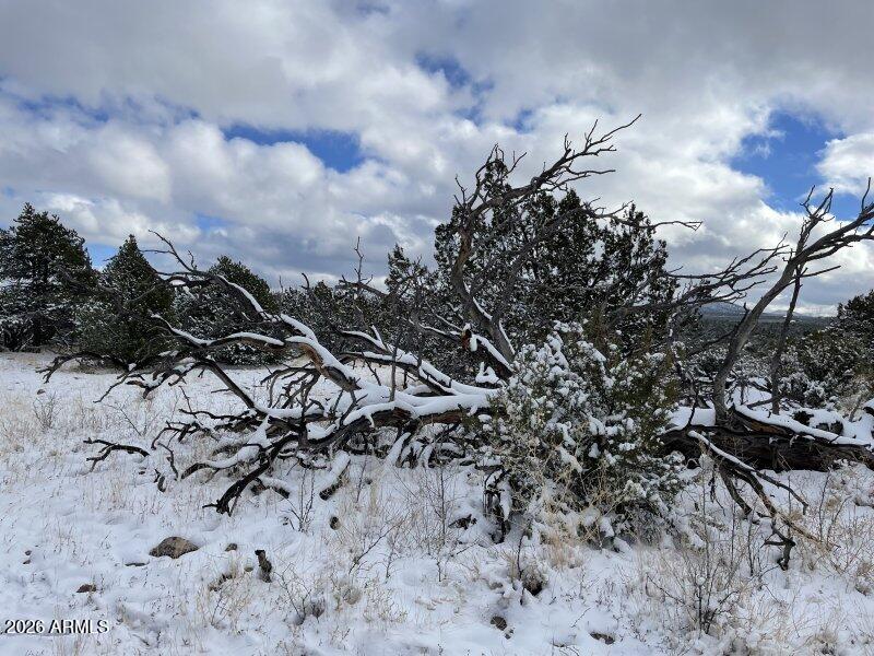 13537 Bly Station Road, Unit 414 Williams, AZ 86046 - Photo 24 of 56 Auction_021