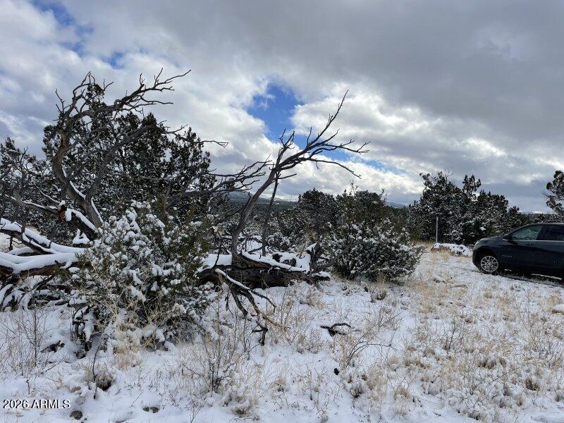 13537 Bly Station Road, Unit 414 Williams, AZ 86046 - Photo 25 of 56 a view of a backyard of the house
