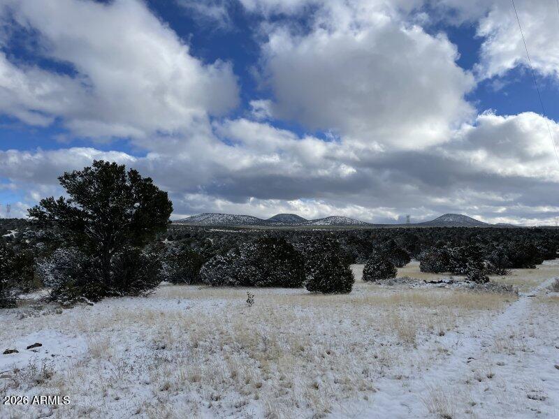 13537 Bly Station Road, Unit 414 Williams, AZ 86046 - Photo 30 of 56 a view of outdoor space and mountain view