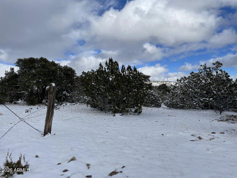 13537 Bly Station Road, Unit 414 Williams, AZ 86046 - Photo 35 of 56 a view of a covered with snow in the yard
