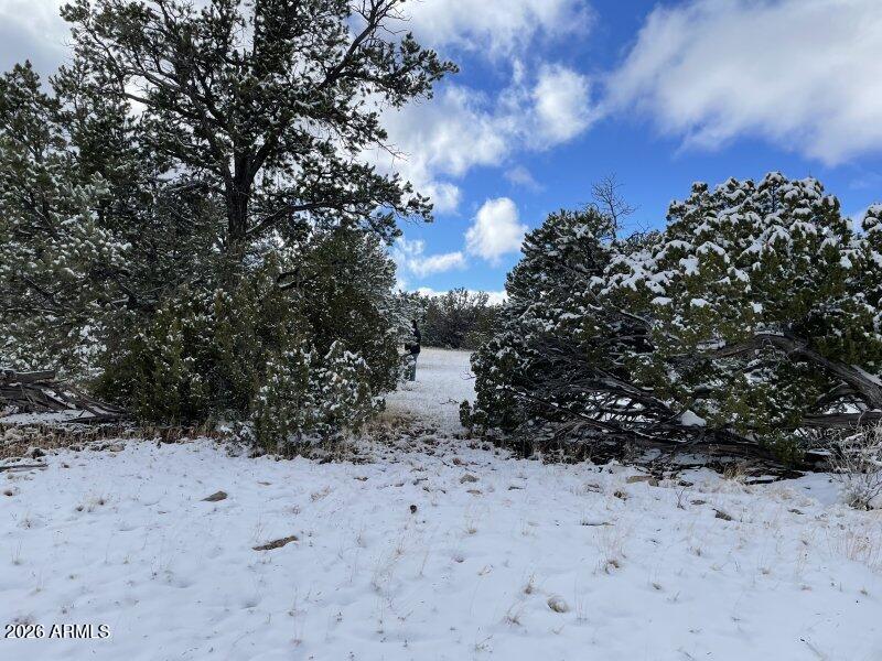 13537 Bly Station Road, Unit 414 Williams, AZ 86046 - Photo 37 of 56 a view of a covered with snow in the background