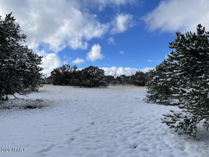 13537 Bly Station Road, Unit 414 Williams, AZ 86046 - Photo 39 of 56 a view of lake with outdoor space