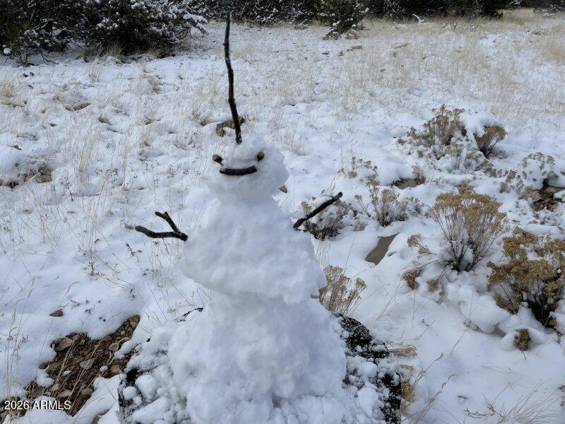 13537 Bly Station Road, Unit 414 Williams, AZ 86046 - Photo 40 of 56 a view of water heater room