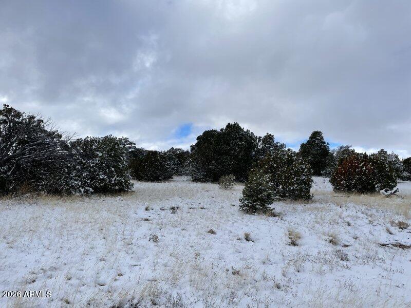 13537 Bly Station Road, Unit 414 Williams, AZ 86046 - Photo 44 of 56 a view of dirt field with trees in background