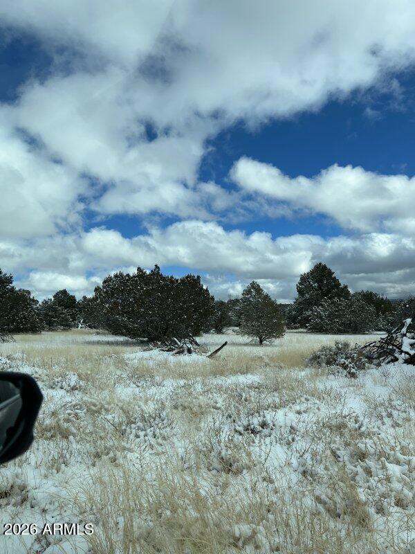 13537 Bly Station Road, Unit 414 Williams, AZ 86046 - Photo 5 of 56 a view of a field with trees in background