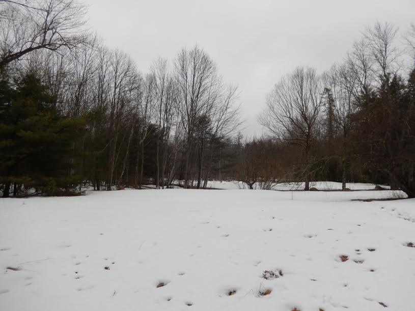 109 Webbs Mills Road Raymond, ME 04071 - Photo 31 of 33 Photo