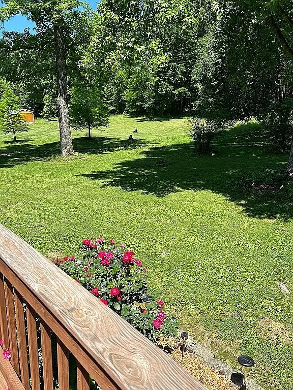 6180 Reevesville Road Grantsburg, IL 62943 - Photo 10 of 16