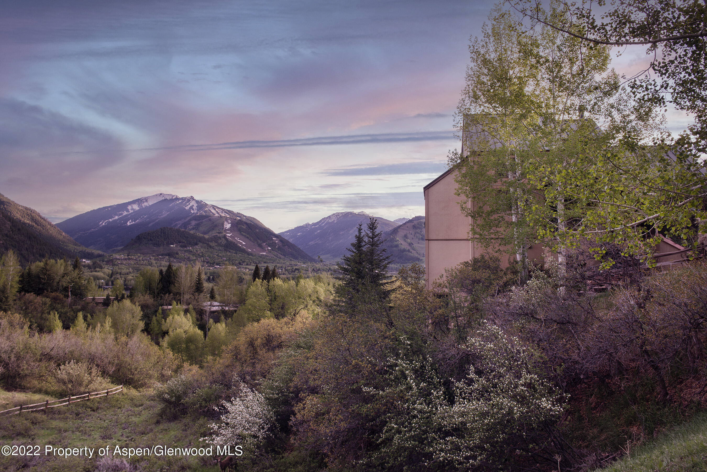 376 Draw Drive Aspen, CO 81612 - Photo 27 of 34 a view of a street with a yard
