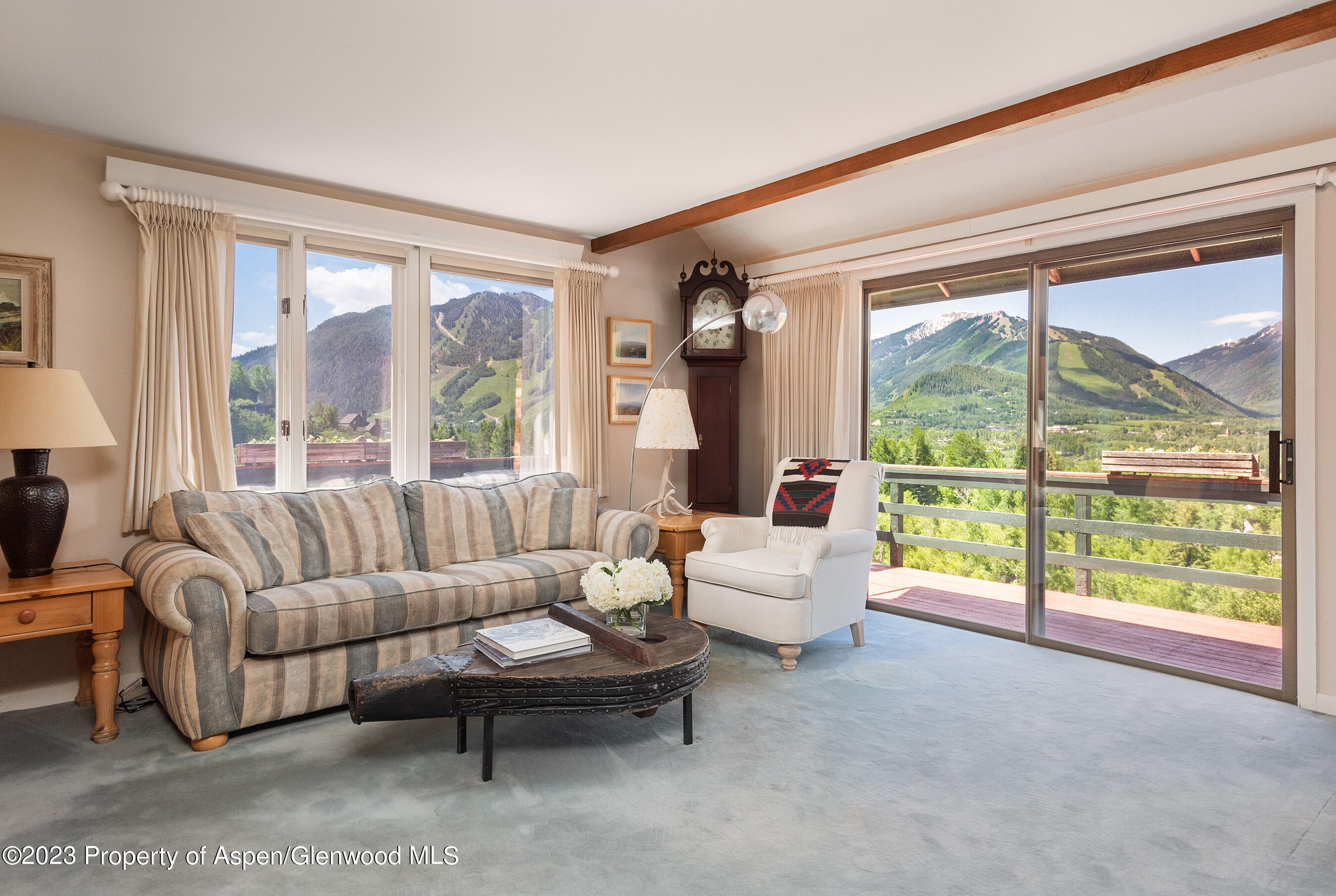 376 Draw Drive Aspen, CO 81612 - Photo 4 of 34 a living room with furniture and a large window
