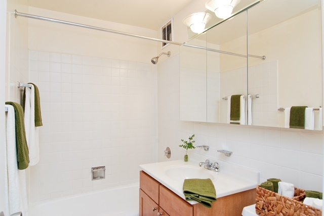 655 West Irving Park Road, Unit 3614 Chicago, IL 60613 - Photo 9 of 10 a bathroom with a sink and a mirror
