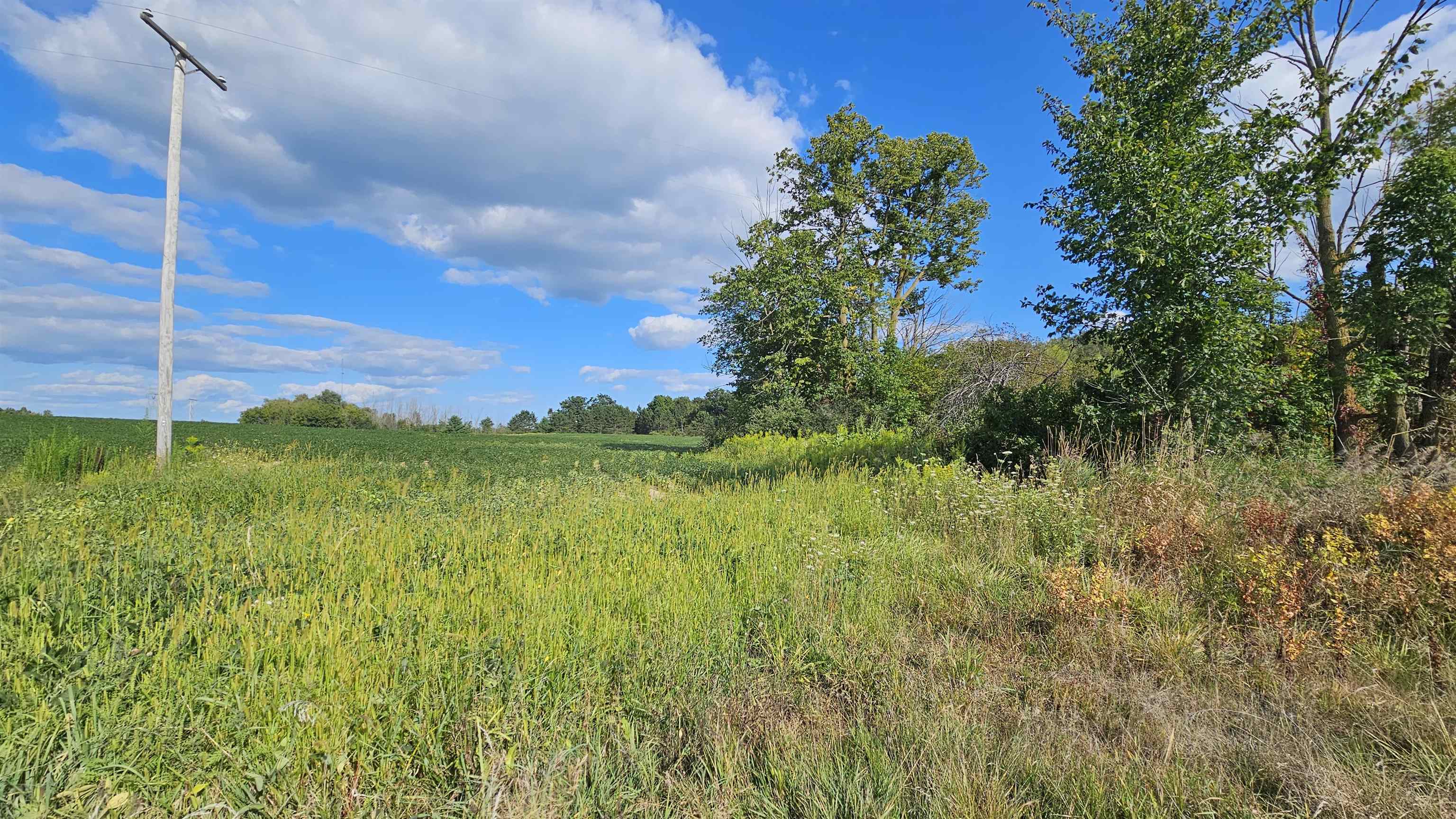 N/a N/a Maple Ridge Road, Unit ROSEBURGH Alger, MI 48610 - Photo 11 of 24