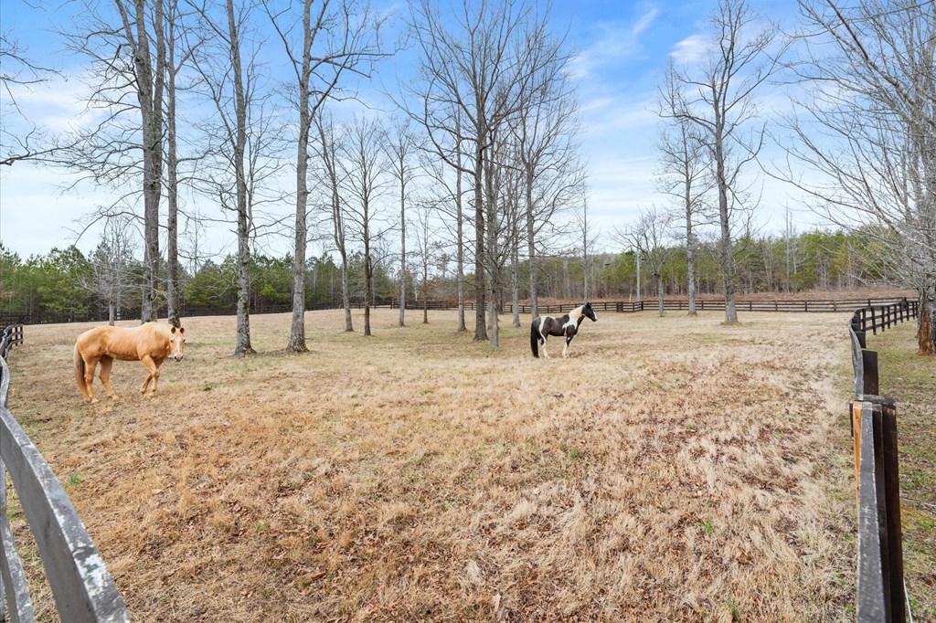 456 East Valley Road Northeast Rydal, GA 30171 - Photo 17 of 98 a view of outdoor space with garden