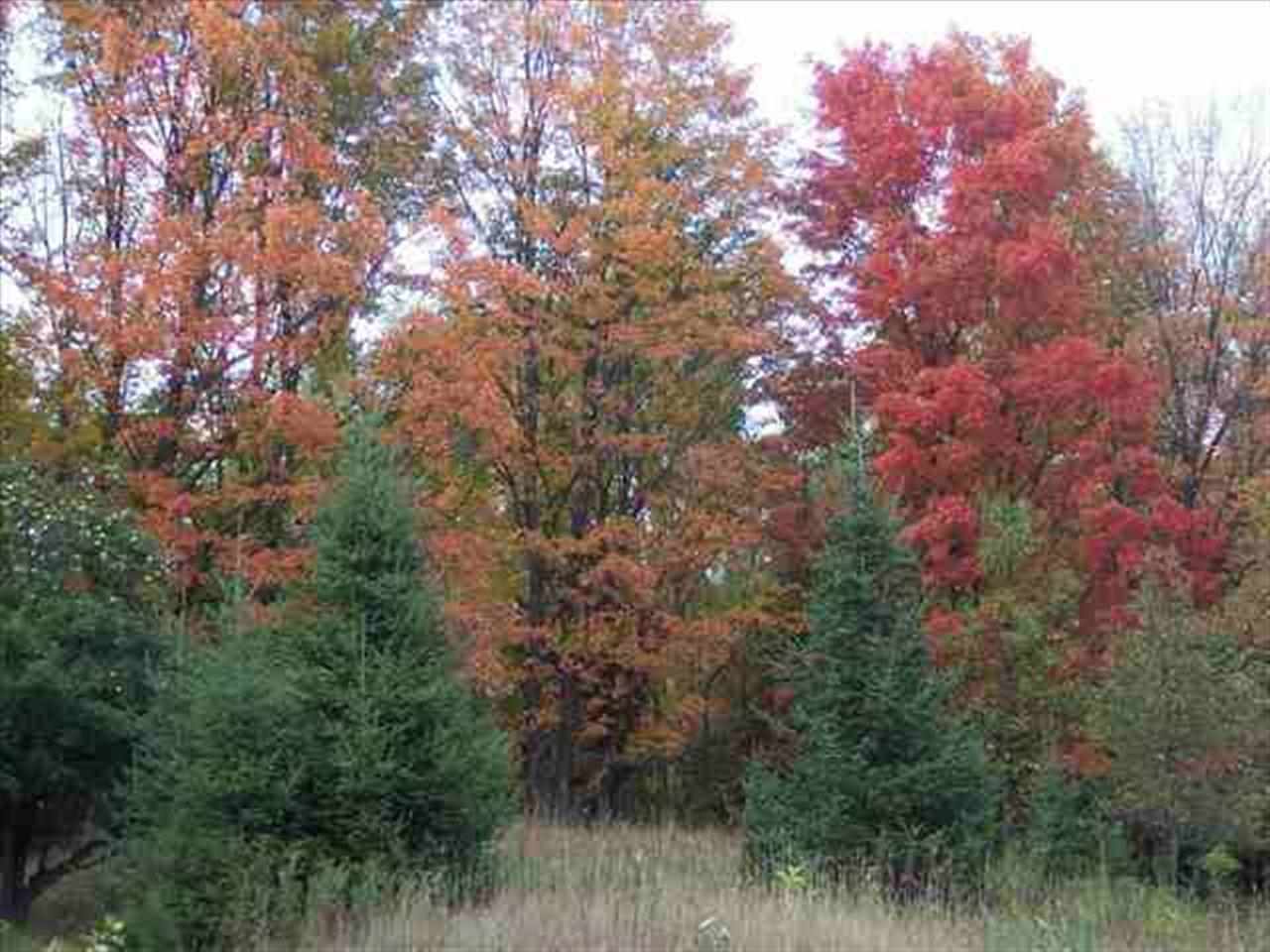 13 State Highway 13 Street Gile, WI 54525 - Photo 1 of 1