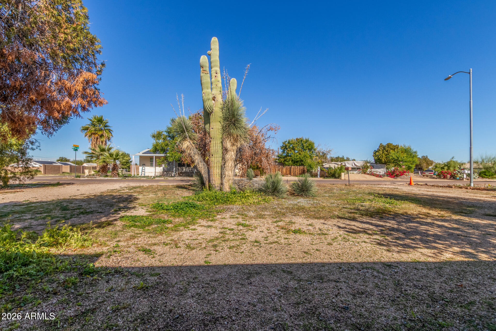 6633 West Nancy Road Glendale, AZ 85306 - Photo 29 of 29 a view of a water fountain with large trees