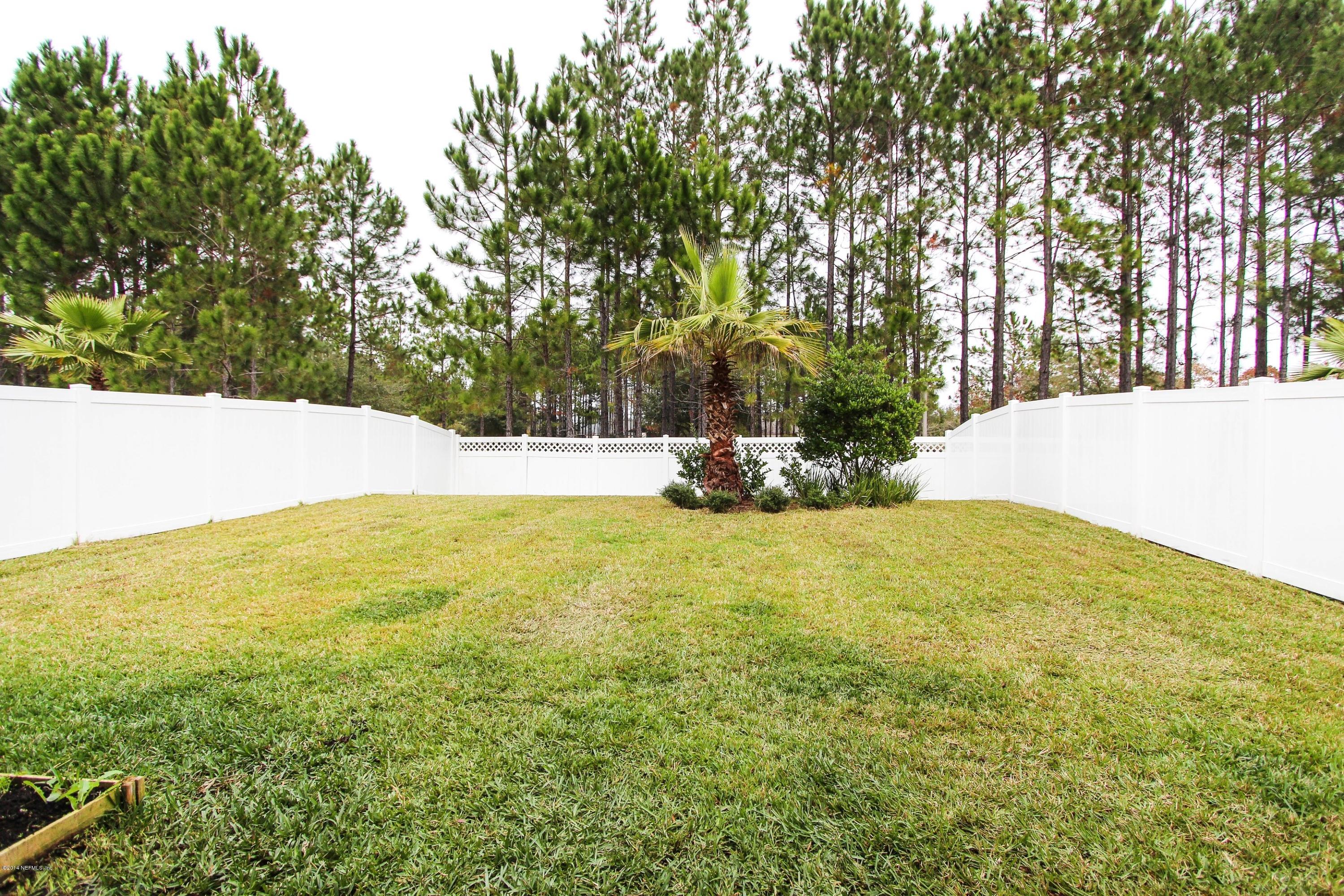 3850 Chasing Falls Road Orange Park, FL 32065 - Photo 30 of 32 Backyard