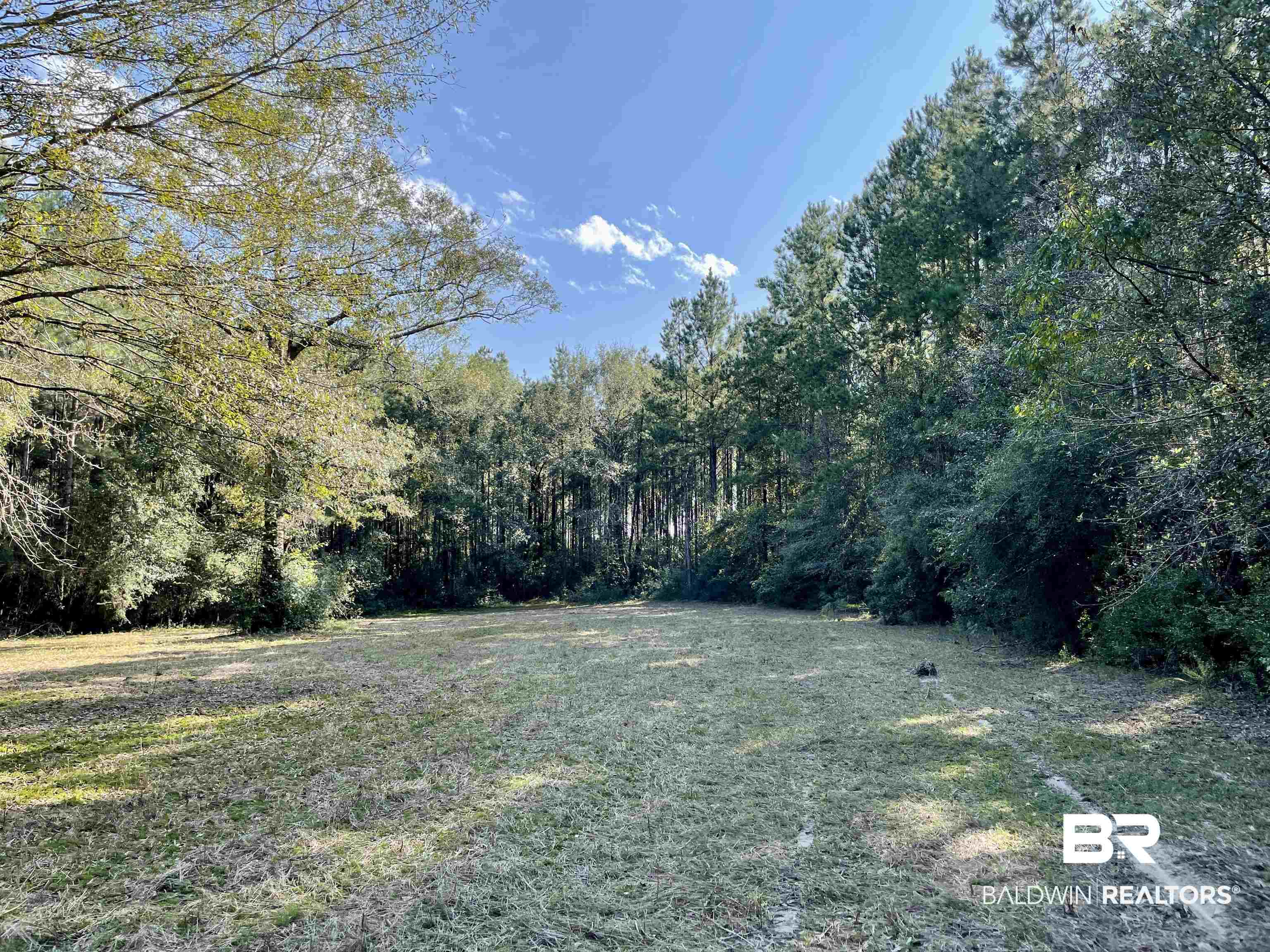 0 Country Road Vinegar Bend, AL 36584 - Photo 8 of 46