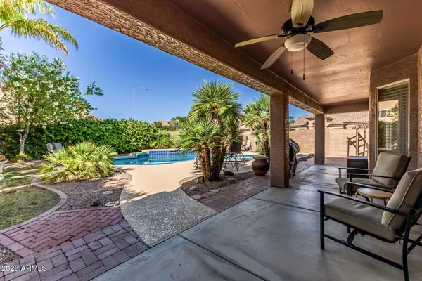 a view of a yard with plants