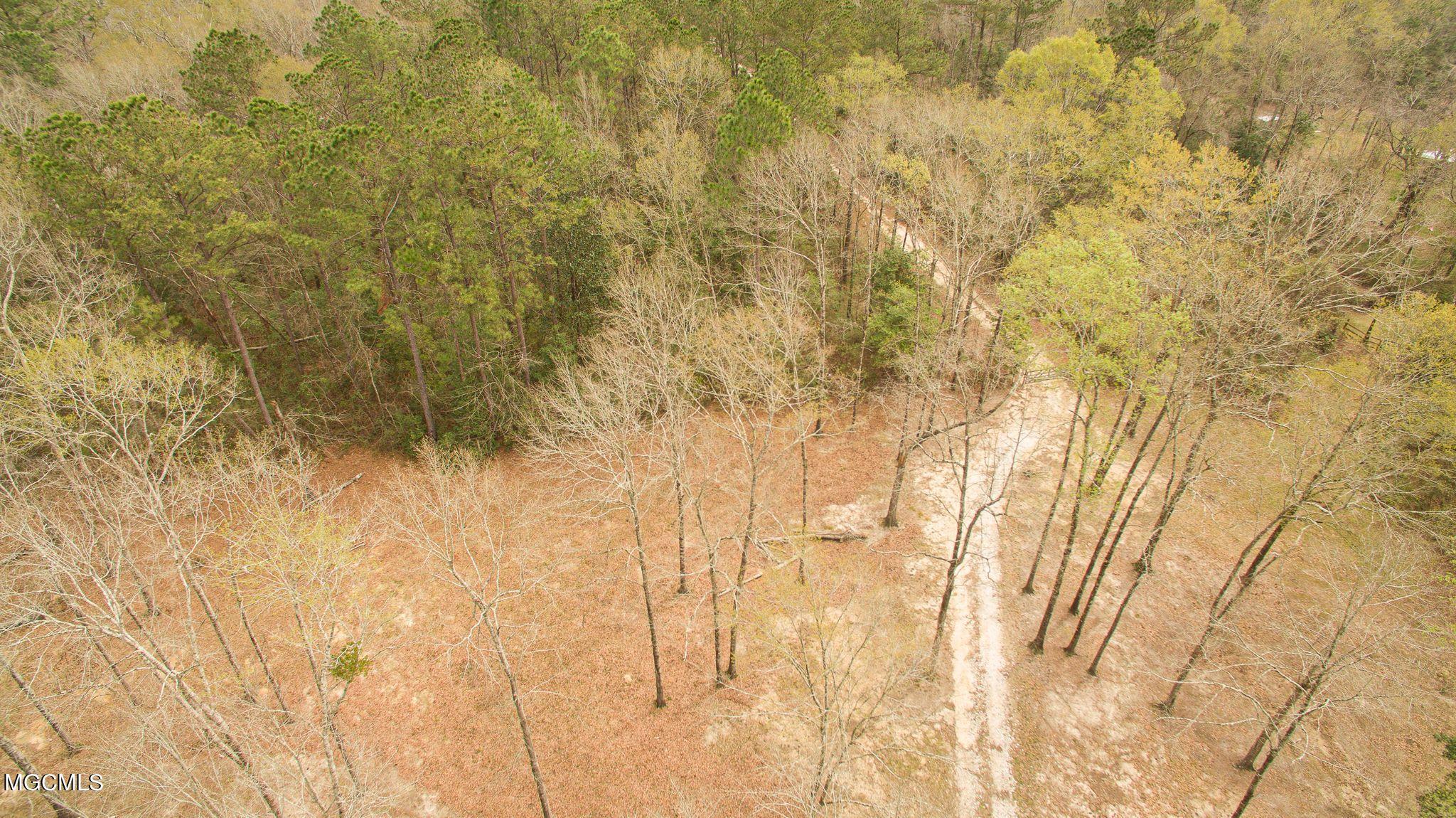 25531 Ramsey Road Saucier, MS 39574 - Photo 1 of 20 ram3