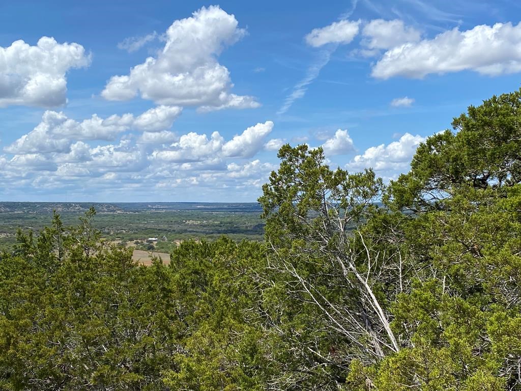 17 Jack Rabbit Road, Unit 17 Doss, TX 78618 - Photo 15 of 29