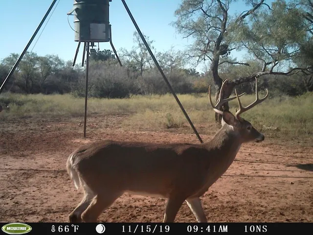 $520,000 | 17 Jack Rabbit Road, Unit 17, Doss, TX 78618