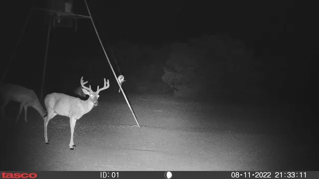 $520,000 | 17 Jack Rabbit Road, Unit 17, Doss, TX 78618