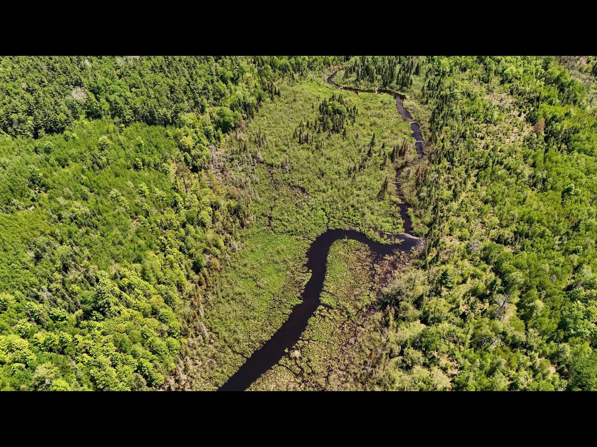 16 Federal Forest Highway Iron River, MI 49935 - Photo 4 of 12 5