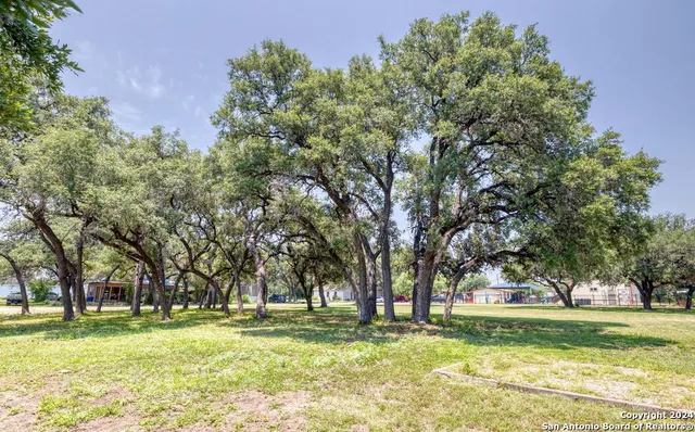 a view of outdoor space with lots of trees