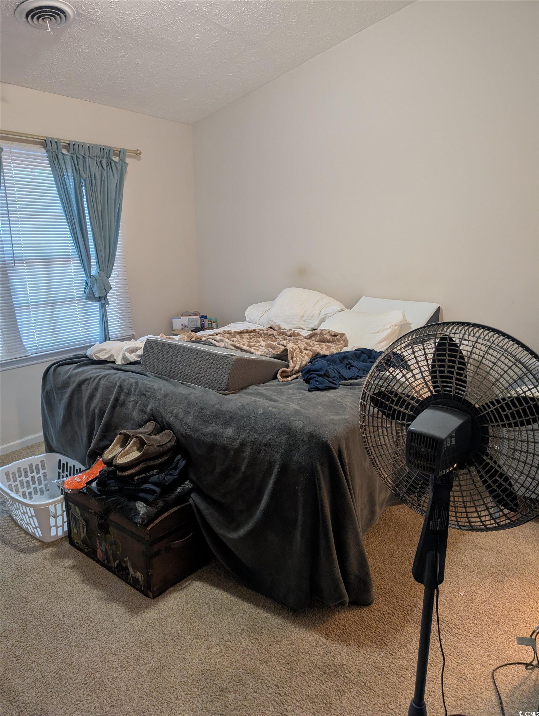 830 North 44th Avenue North, Unit O2 Myrtle Beach, SC 29577 - Photo 9 of 11 Bedroom with light colored carpet and a textured c