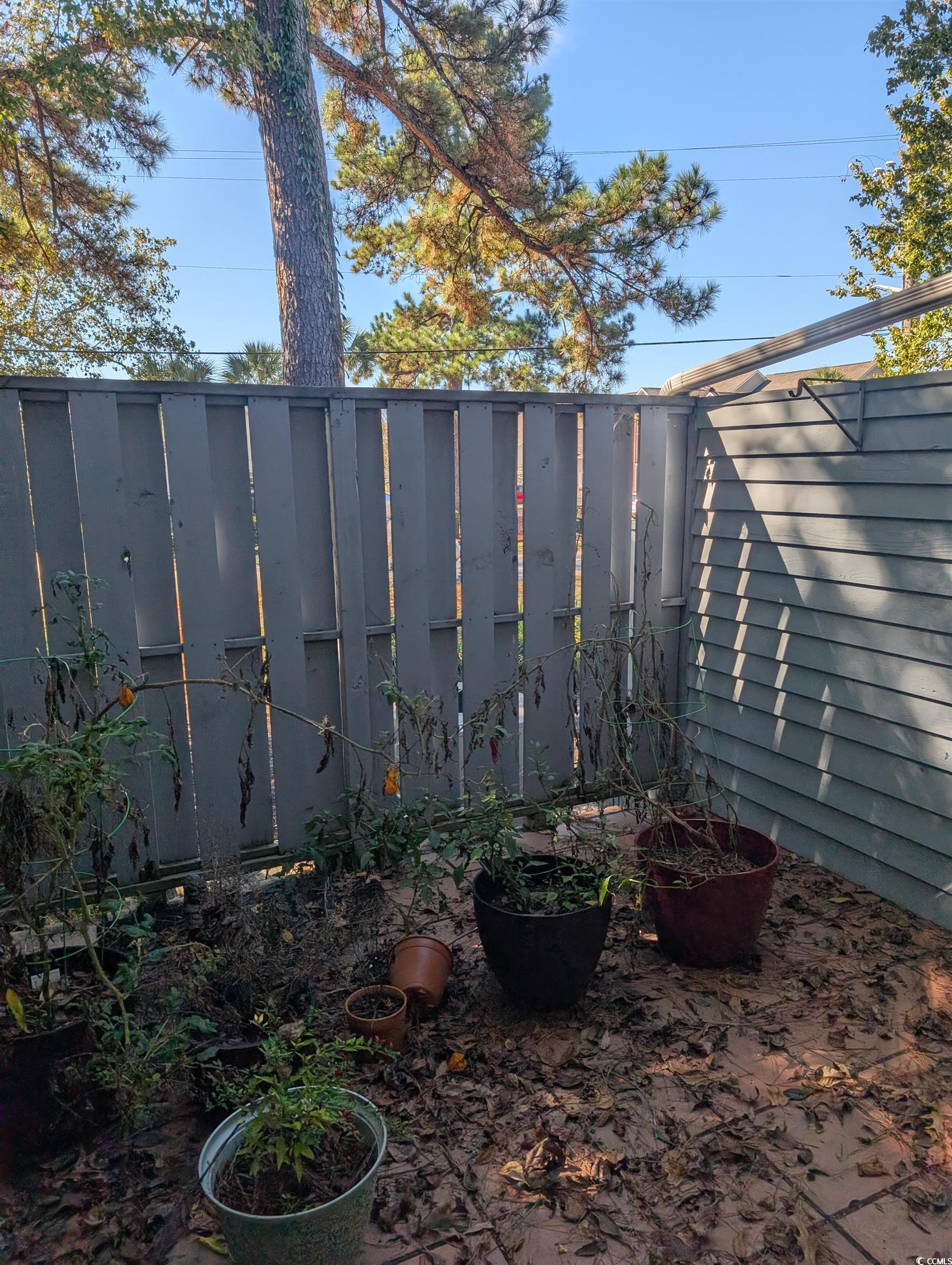 830 North 44th Avenue North, Unit O2 Myrtle Beach, SC 29577 - Photo 10 of 11 View of yard