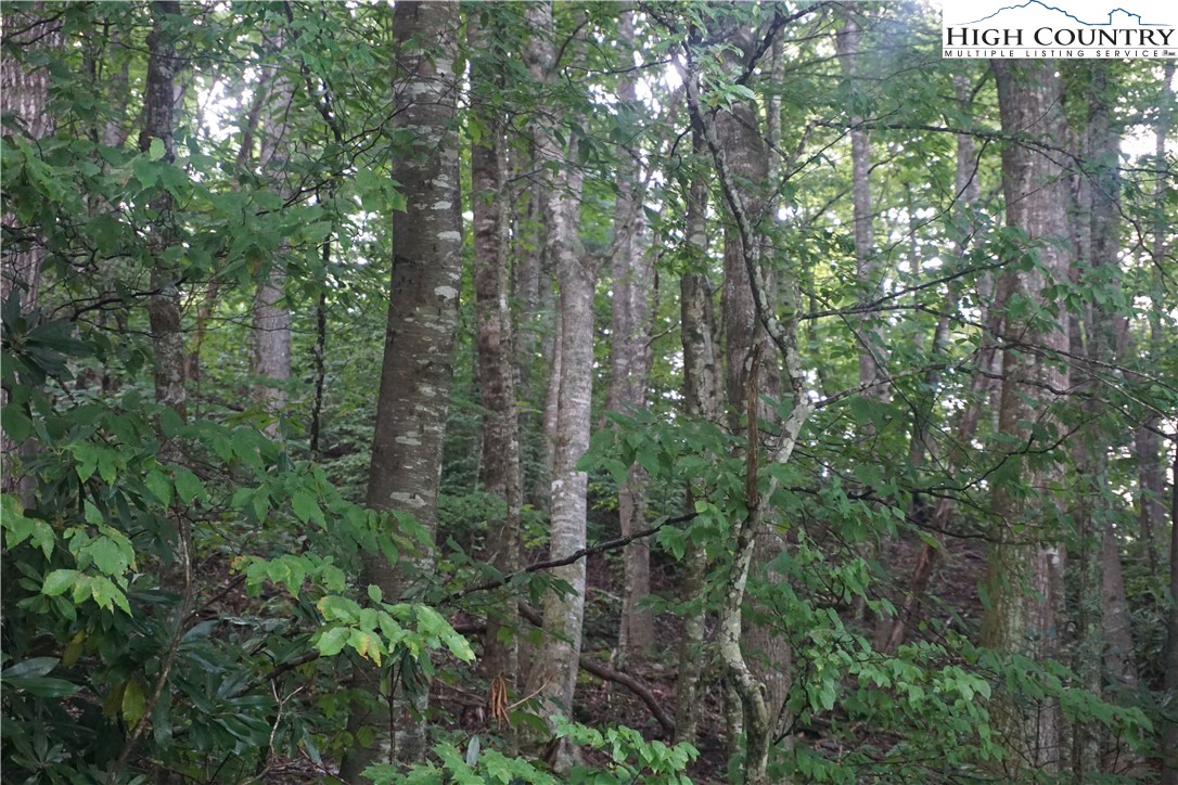 Zion Methodist Church Road Todd, NC 28684 - Photo 1 of 10 Gallery Image 1