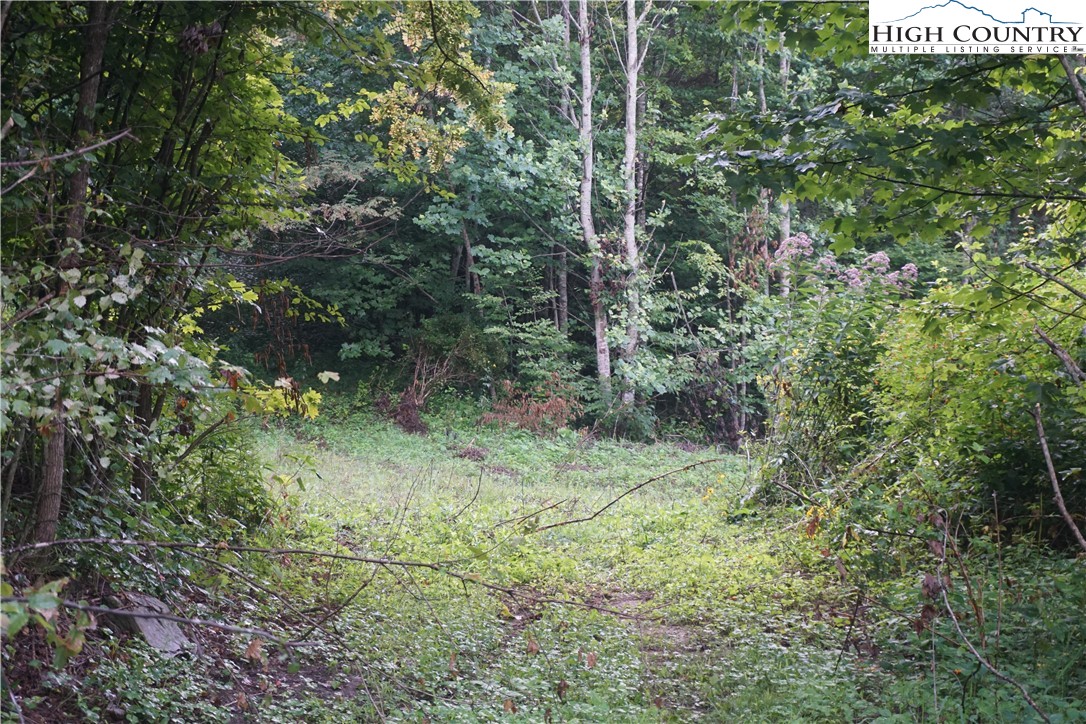 Zion Methodist Church Road Todd, NC 28684 - Photo 2 of 10 Gallery Image 2