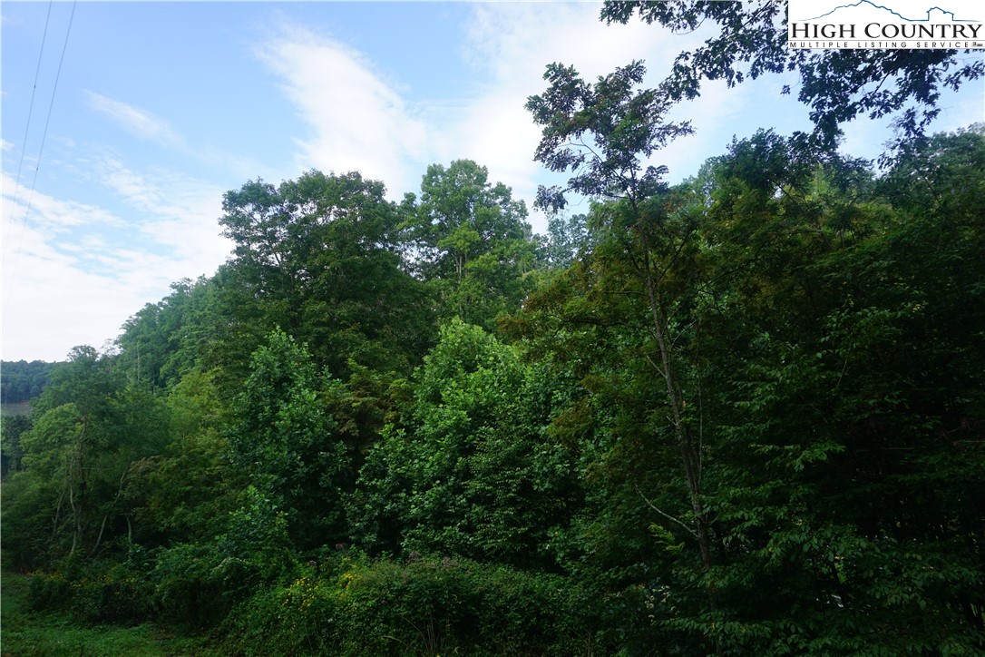 Zion Methodist Church Road Todd, NC 28684 - Photo 7 of 10 Gallery Image 7