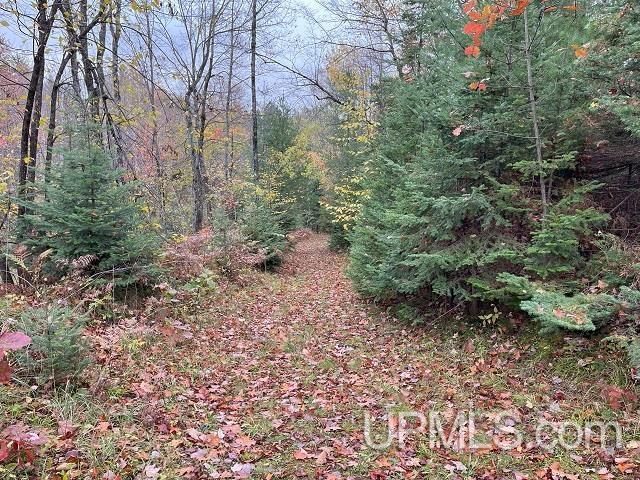 24380 Co Road Ishpeming, MI 49849 - Photo 49 of 92