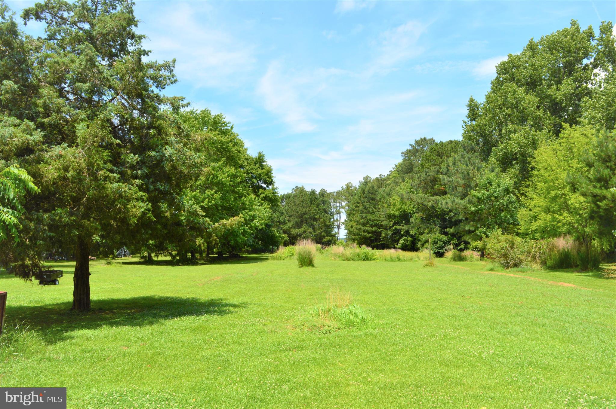 26700 Mt Vernon Road Princess Anne, MD 21853 - Photo 4 of 9