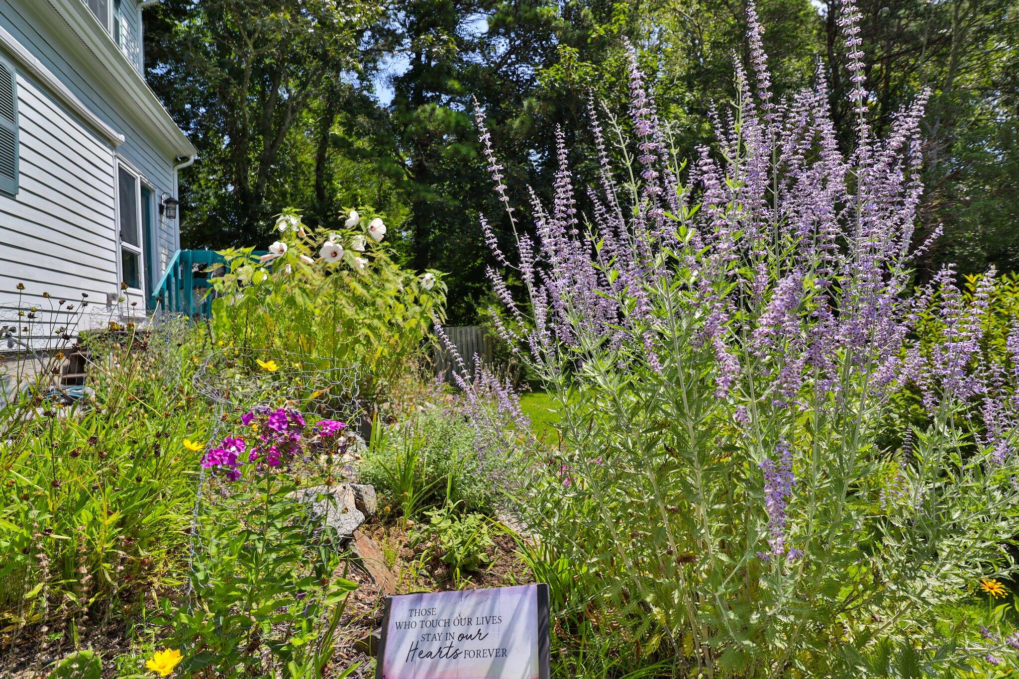 751 Main Street Harwich, MA 02645 - Photo 53 of 58 51-web-or-mls-751-main-st