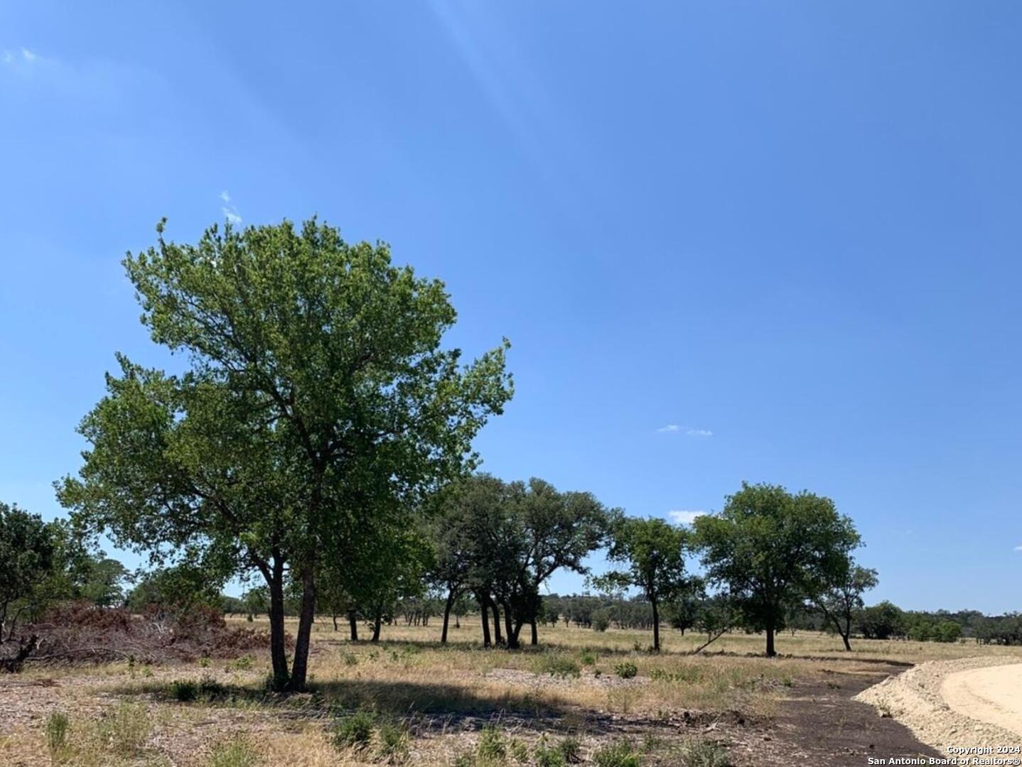 Lot 15 Coldwater Drive Center Point, TX 78010 - Photo 5 of 17