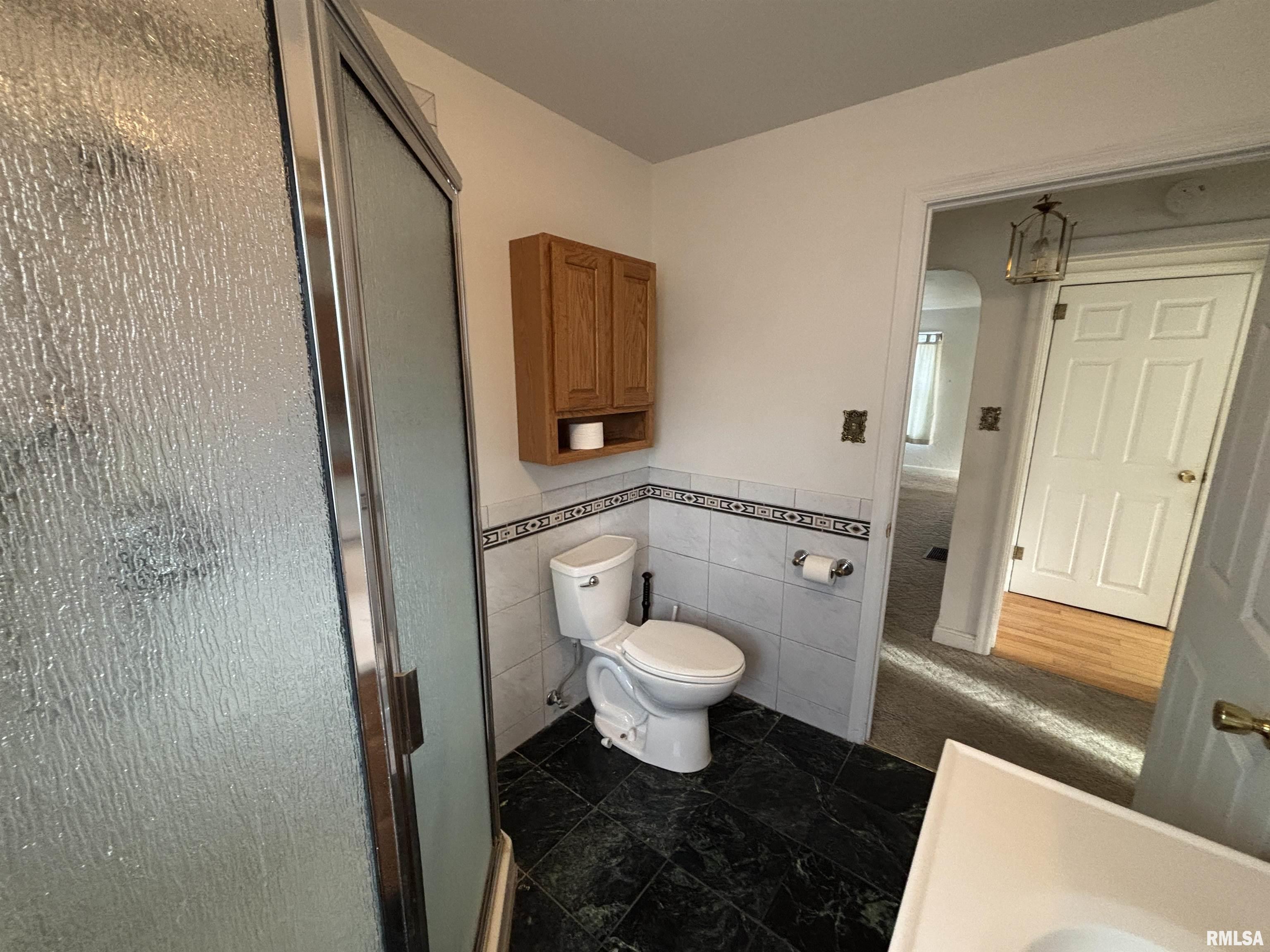 801 Haner Street Taylorville, IL 62568 - Photo 28 of 47