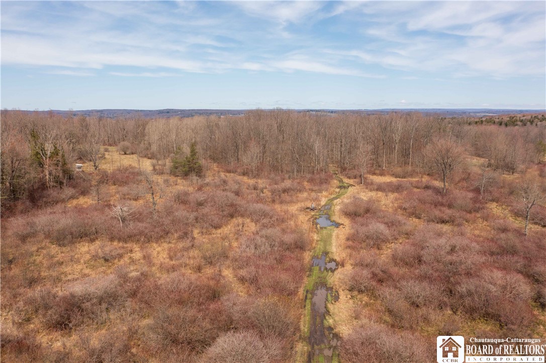 3050 Riverside Road Busti, NY 14701 - Photo 34 of 39